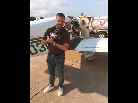 MIAFS and Dachshund Haus Rescue on Fox 2 News.