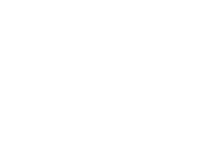 TelNet Worldwide logo