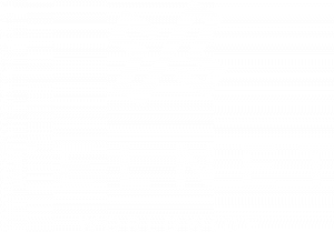 TelNet Worldwide logo